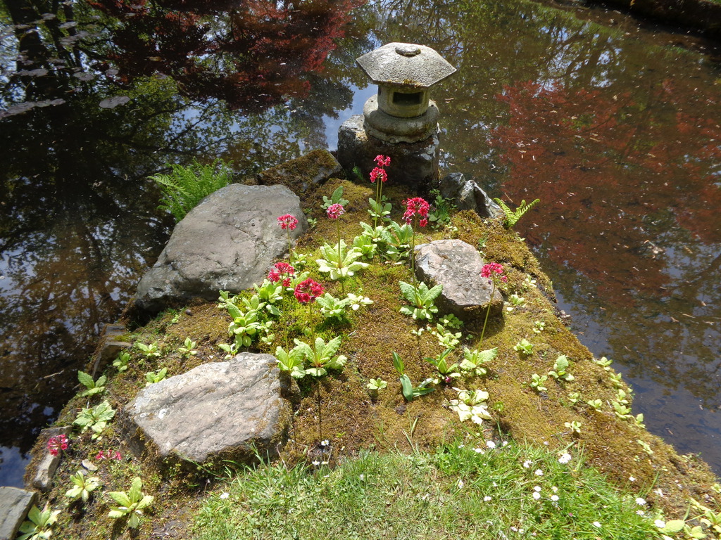 DSC00107.jpg