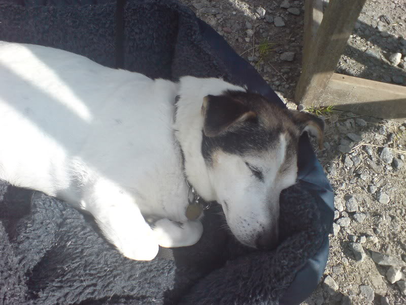 DSC00111.jpg