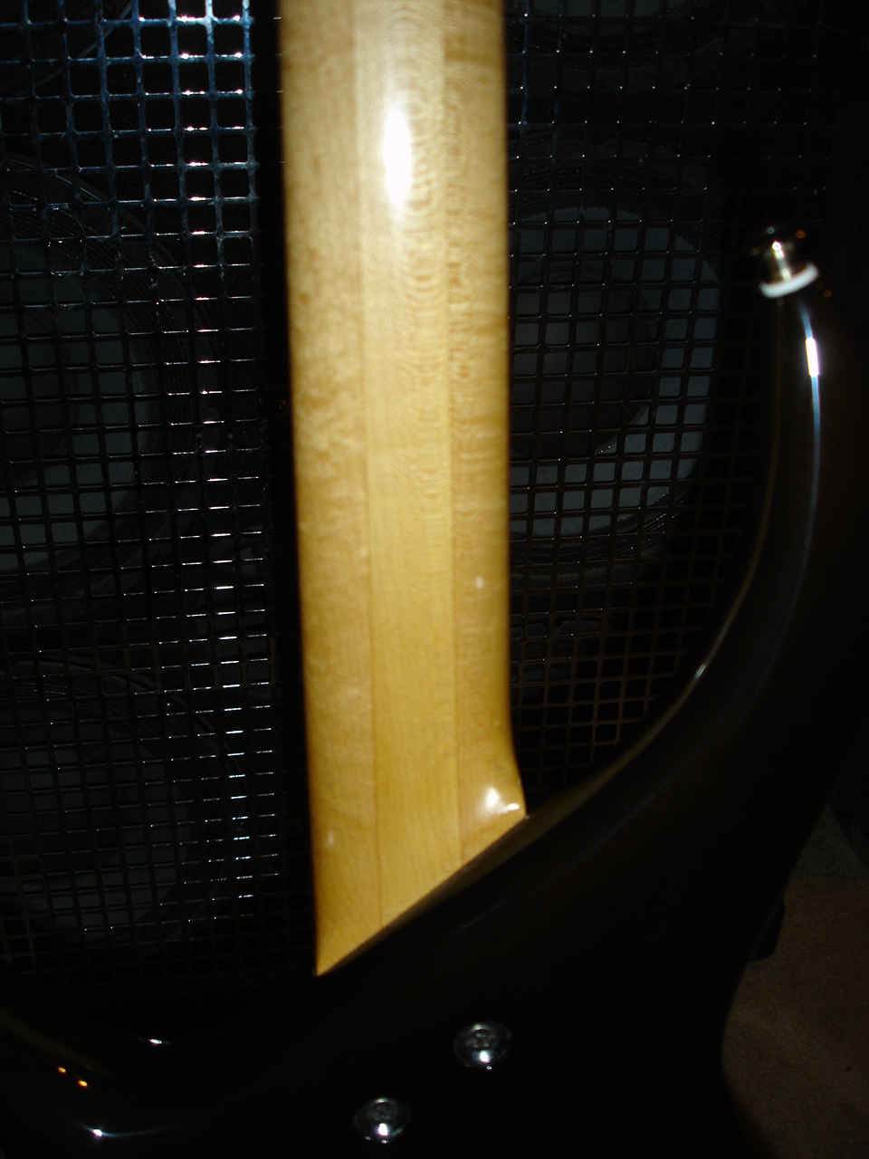 DSC00130.jpg
