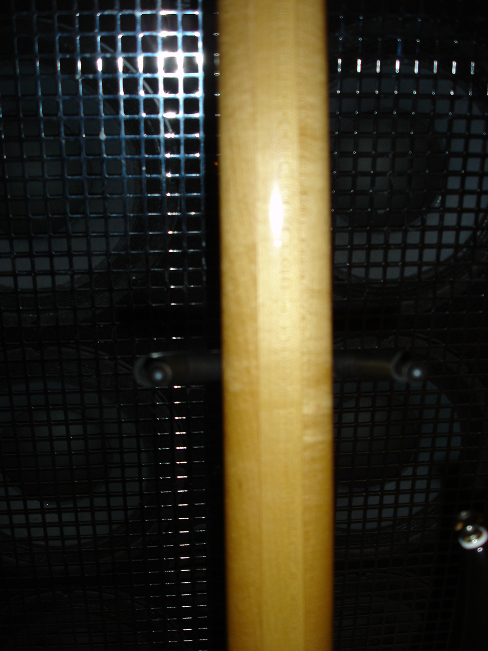 DSC00131.jpg