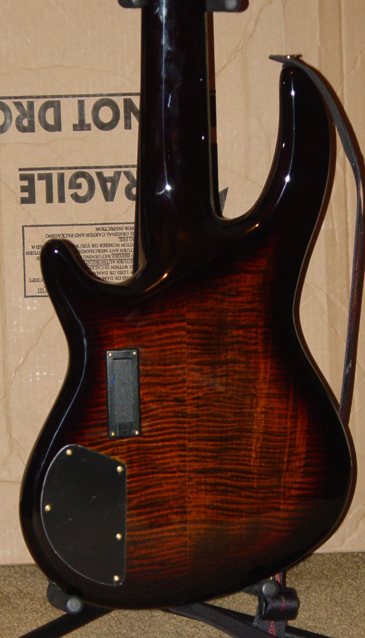 DSC00152 cropped.JPG