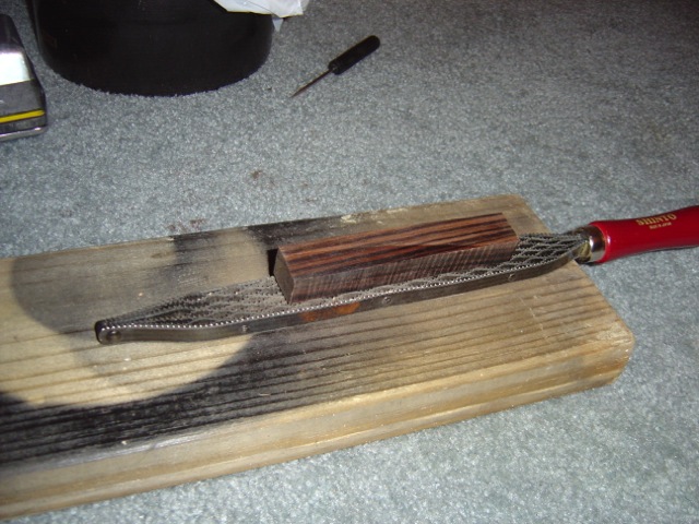 DSC00169.jpg