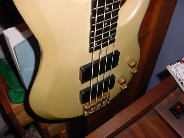 DSC00217.jpg