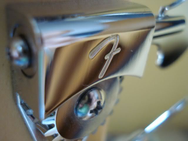 DSC00233.jpg