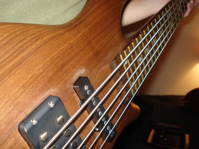 DSC00316.jpg