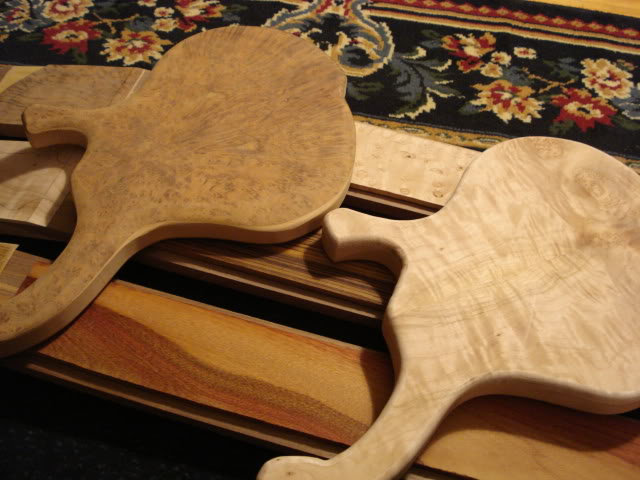 DSC00330.jpg