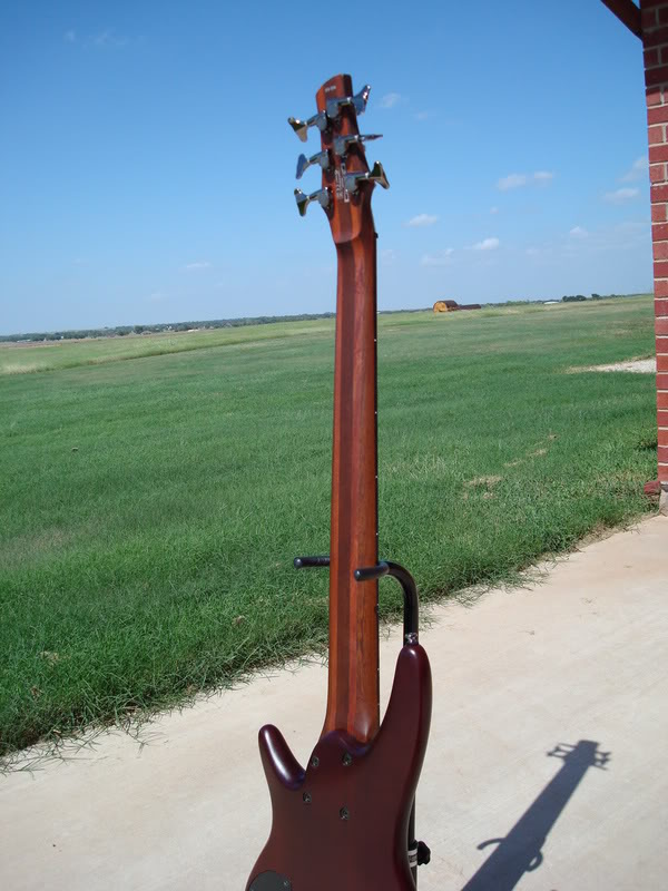 DSC00366.jpg