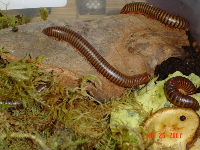 DSC00375.jpg