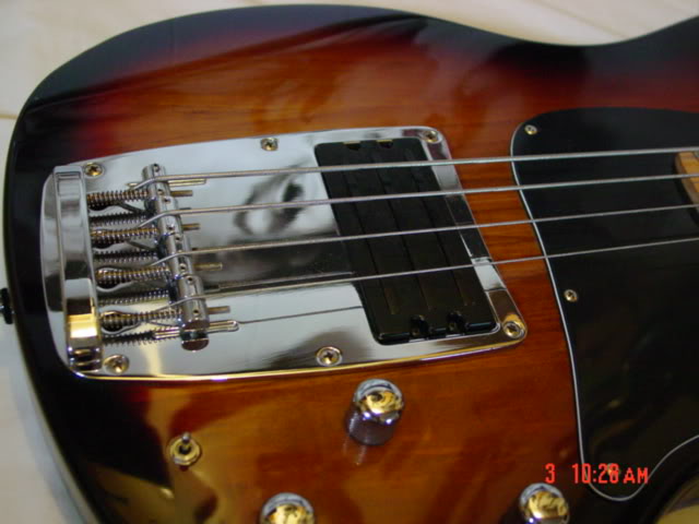 DSC00376.jpg