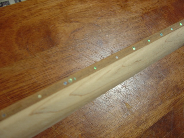 DSC00381.jpg