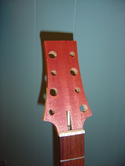 DSC00393.jpg