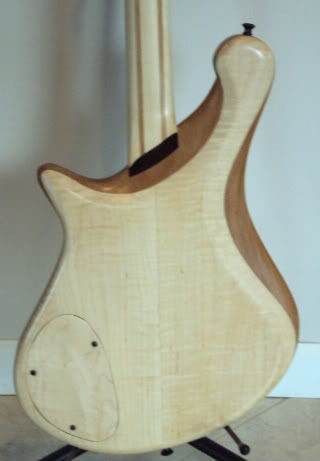DSC00394.jpg