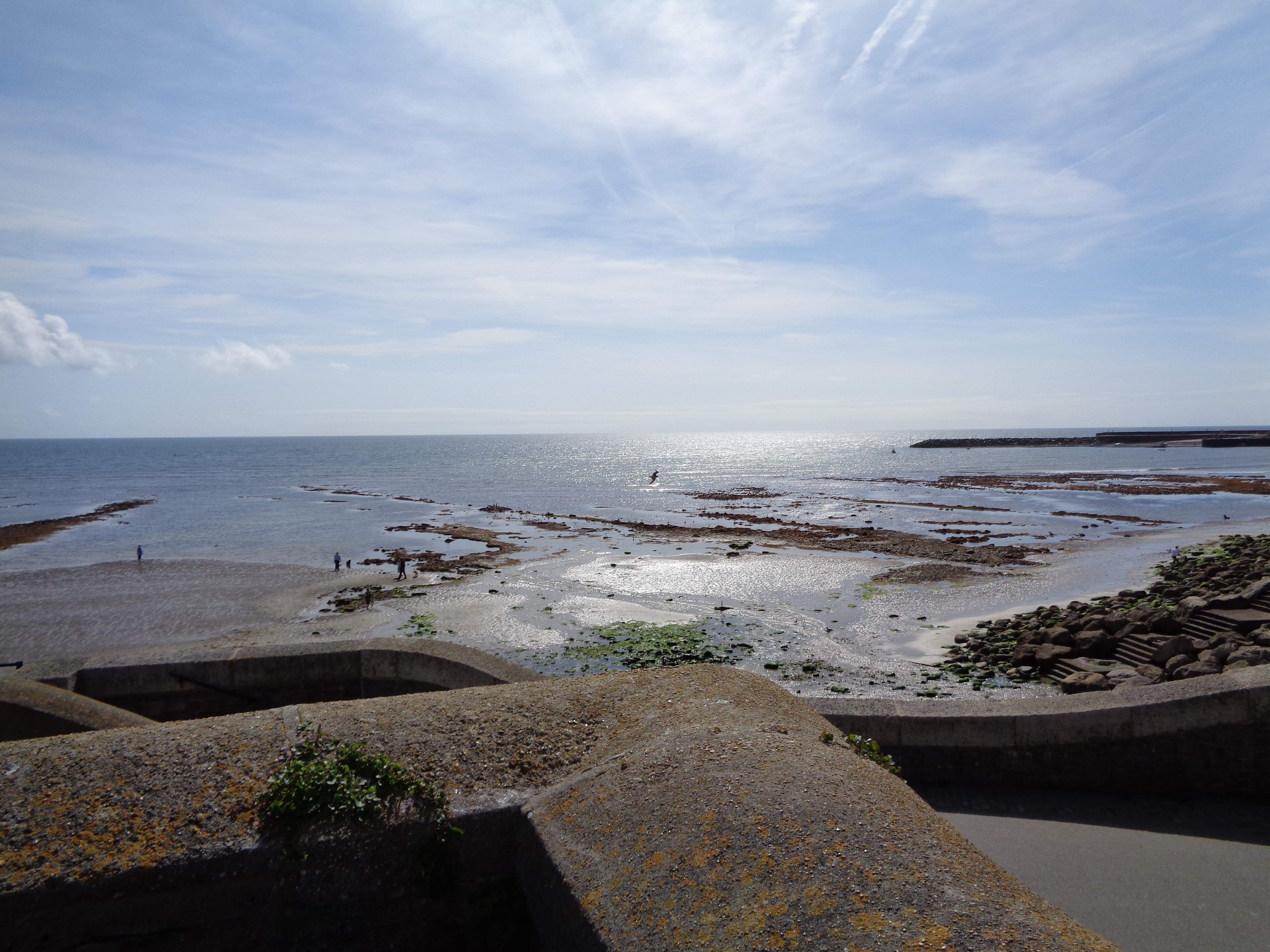 DSC00503.JPG