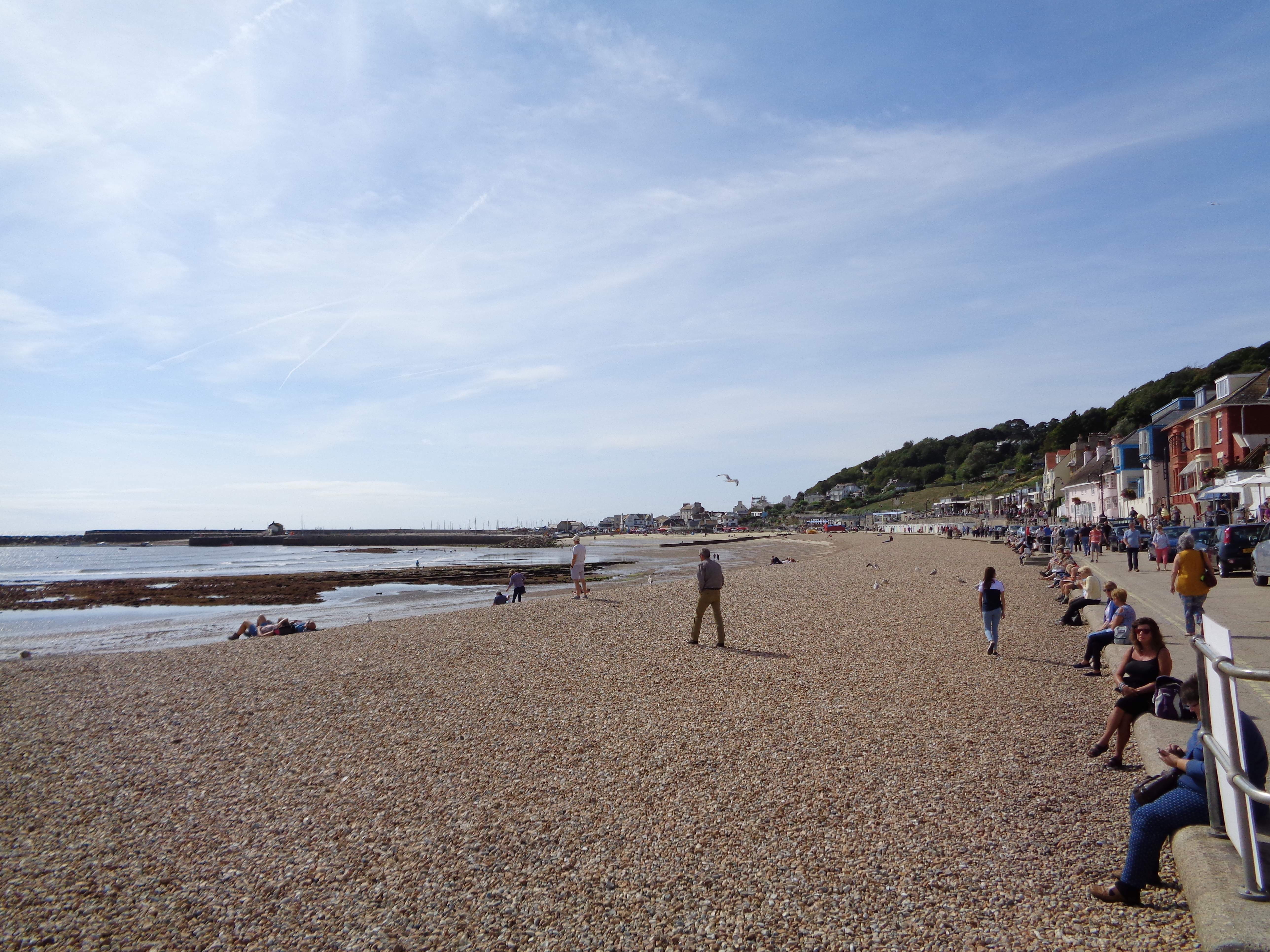 DSC00518.JPG