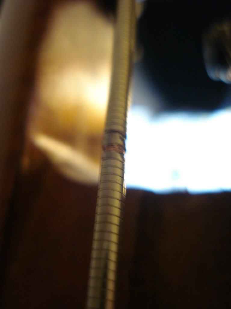 DSC00553.jpg
