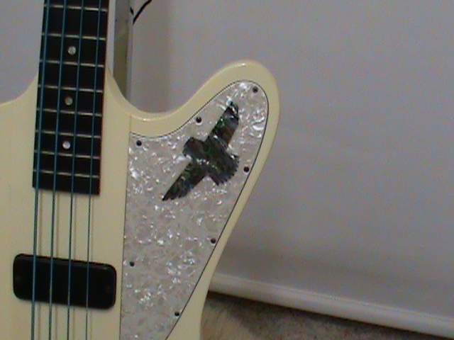 DSC00568.JPG