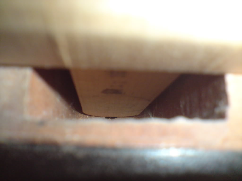 DSC00742.jpg
