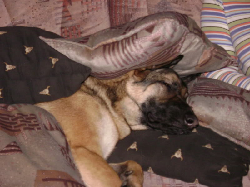 DSC00826.jpg