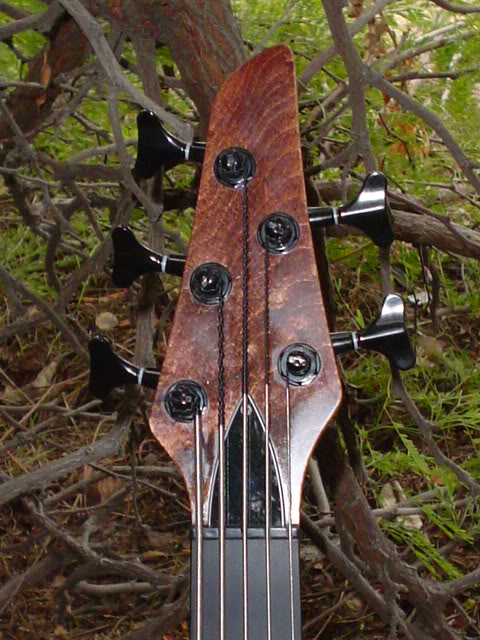 DSC00874.jpg