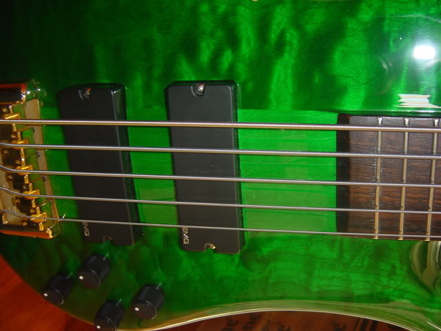 DSC01074.jpg