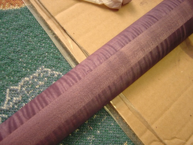 DSC01126.jpg