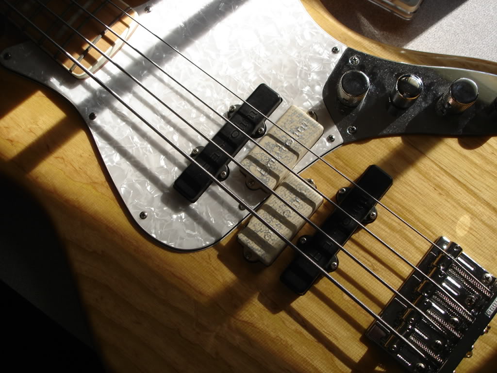 DSC01161.jpg