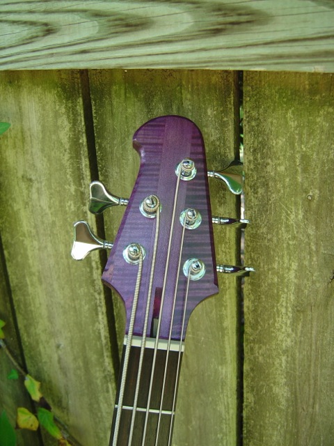 DSC01168.jpg