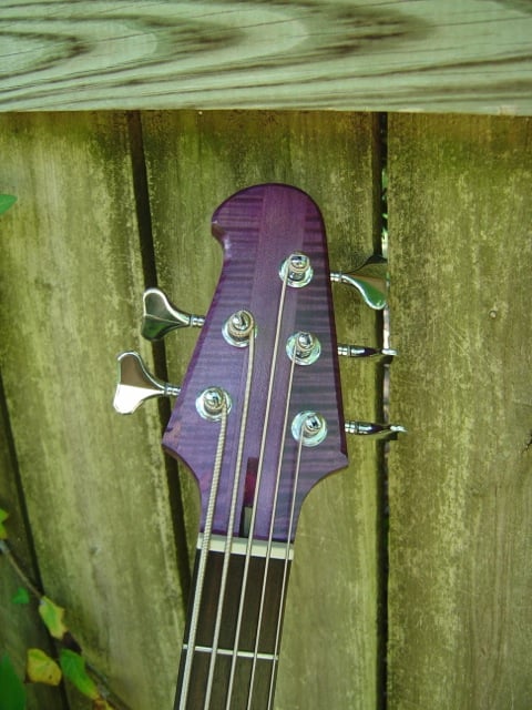 DSC01168.jpg