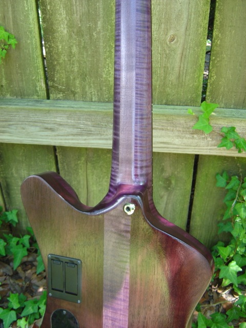 DSC01172.jpg
