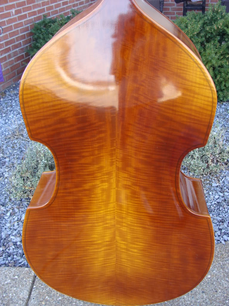 DSC01220.jpg