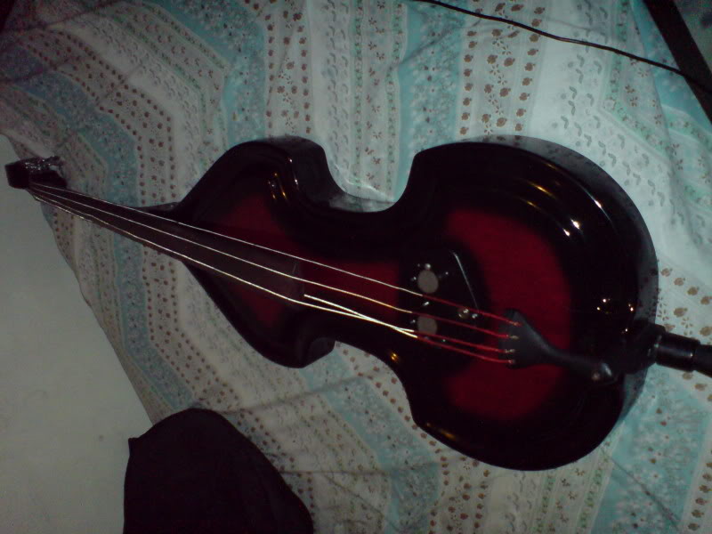 DSC01241.jpg