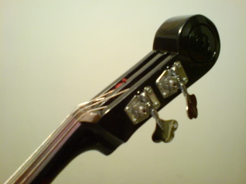 DSC01245.jpg