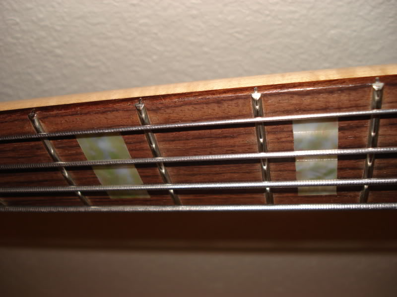 DSC01255.jpg