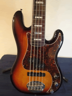 DSC01321.gif