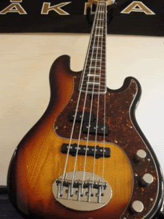 DSC01323.gif