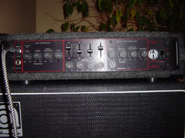 DSC01330.jpg