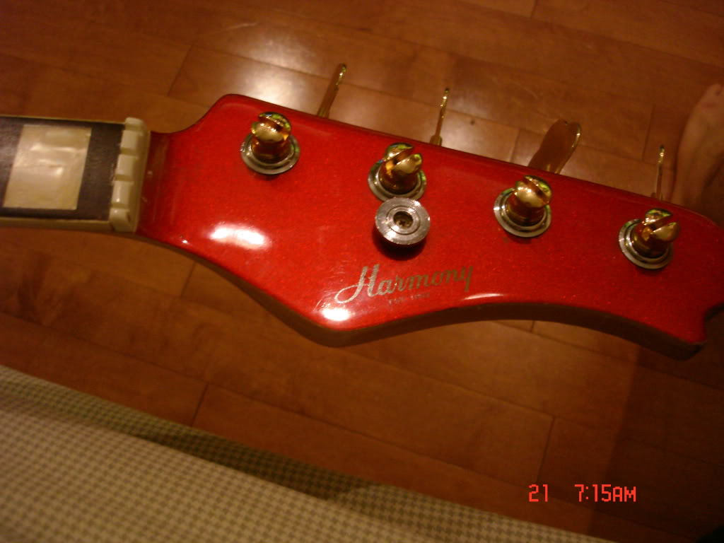 DSC01349.jpg