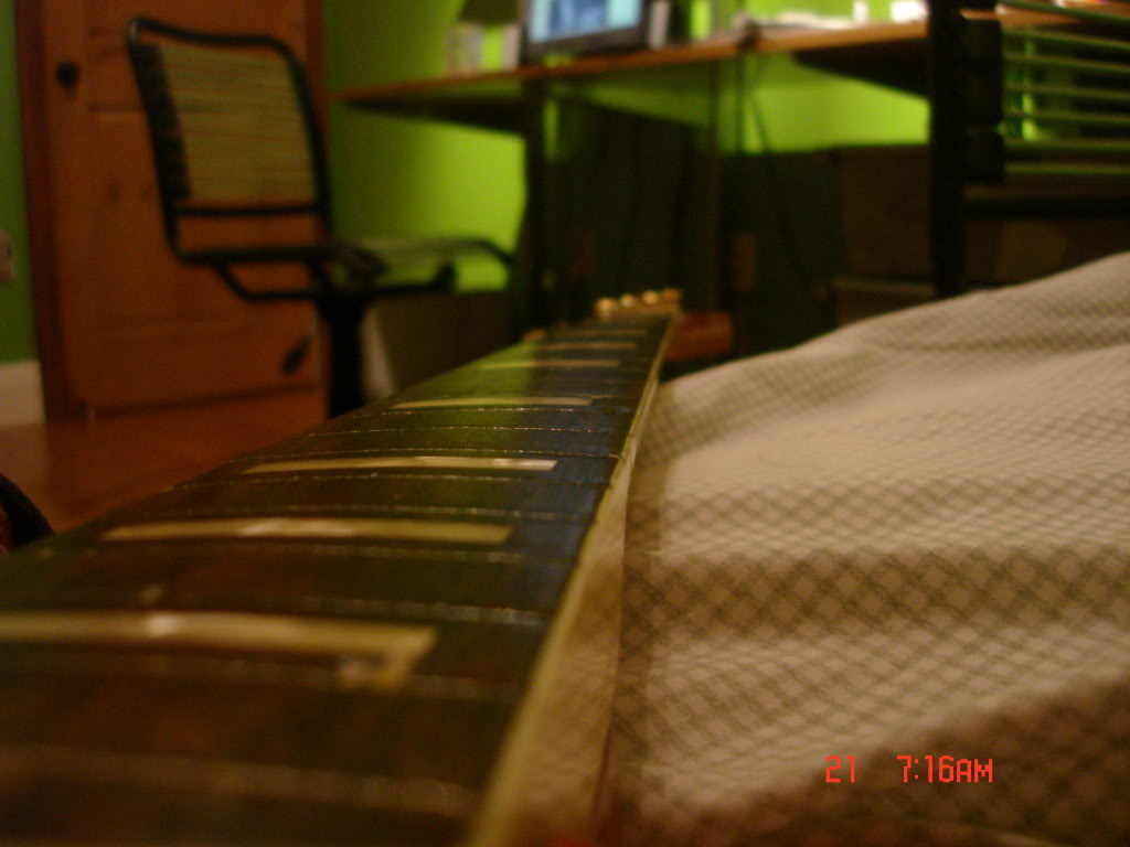 DSC01351.jpg