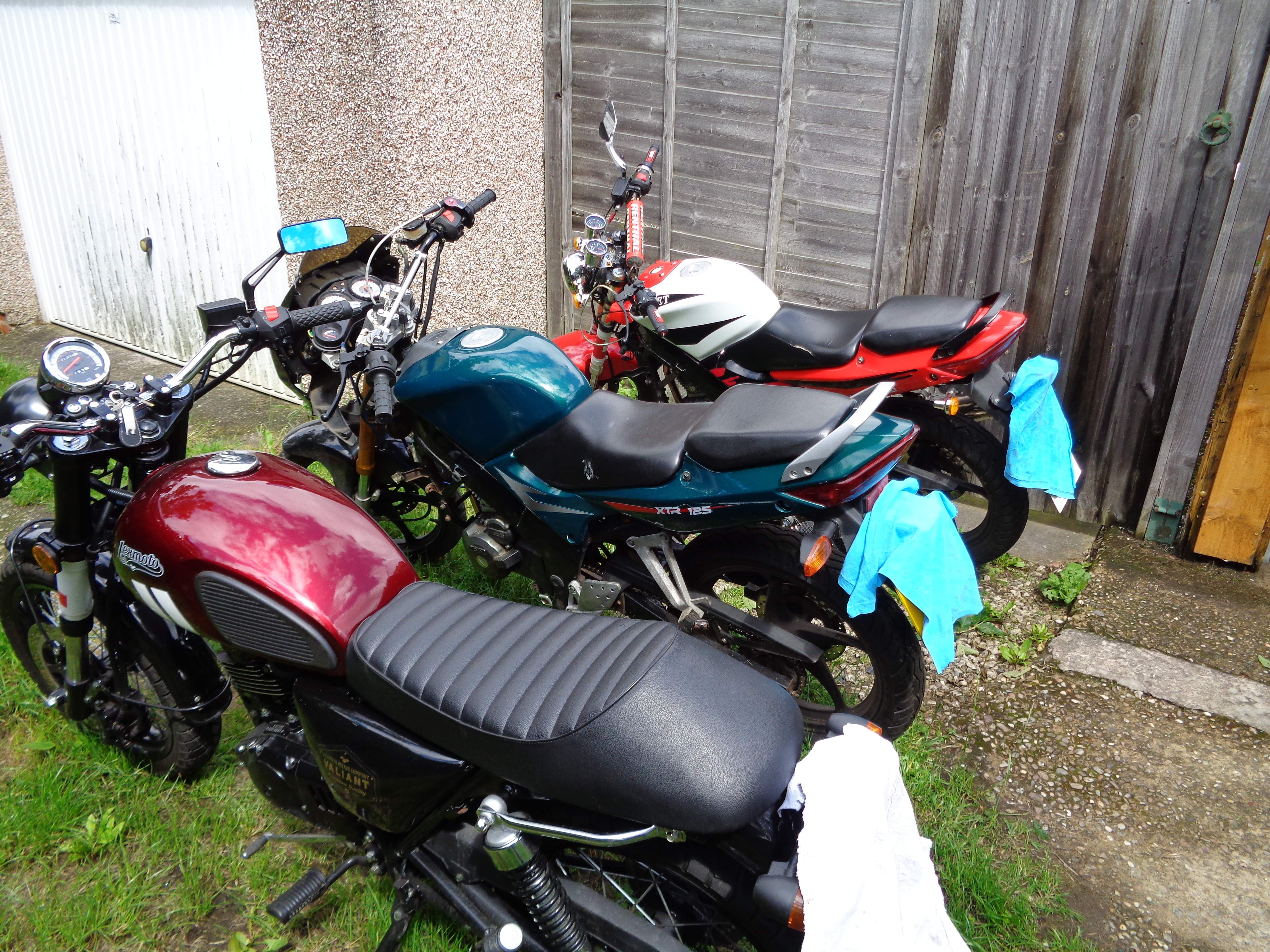 DSC01353.JPG