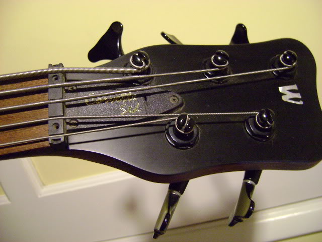 DSC01374.jpg