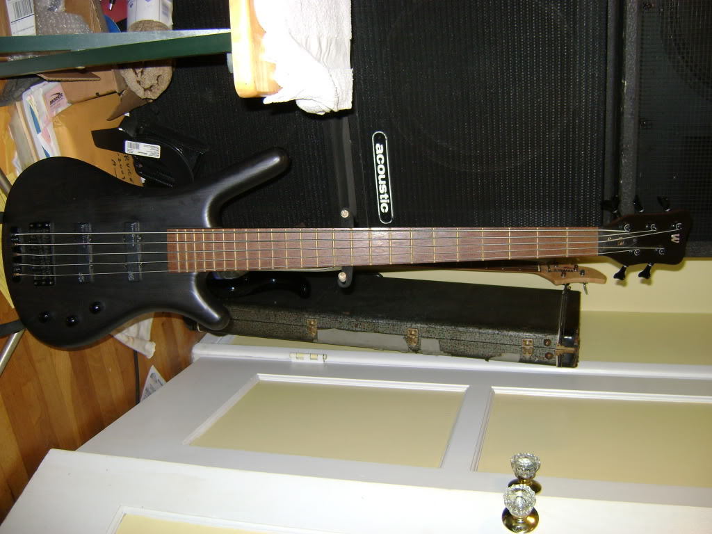 DSC01378.jpg