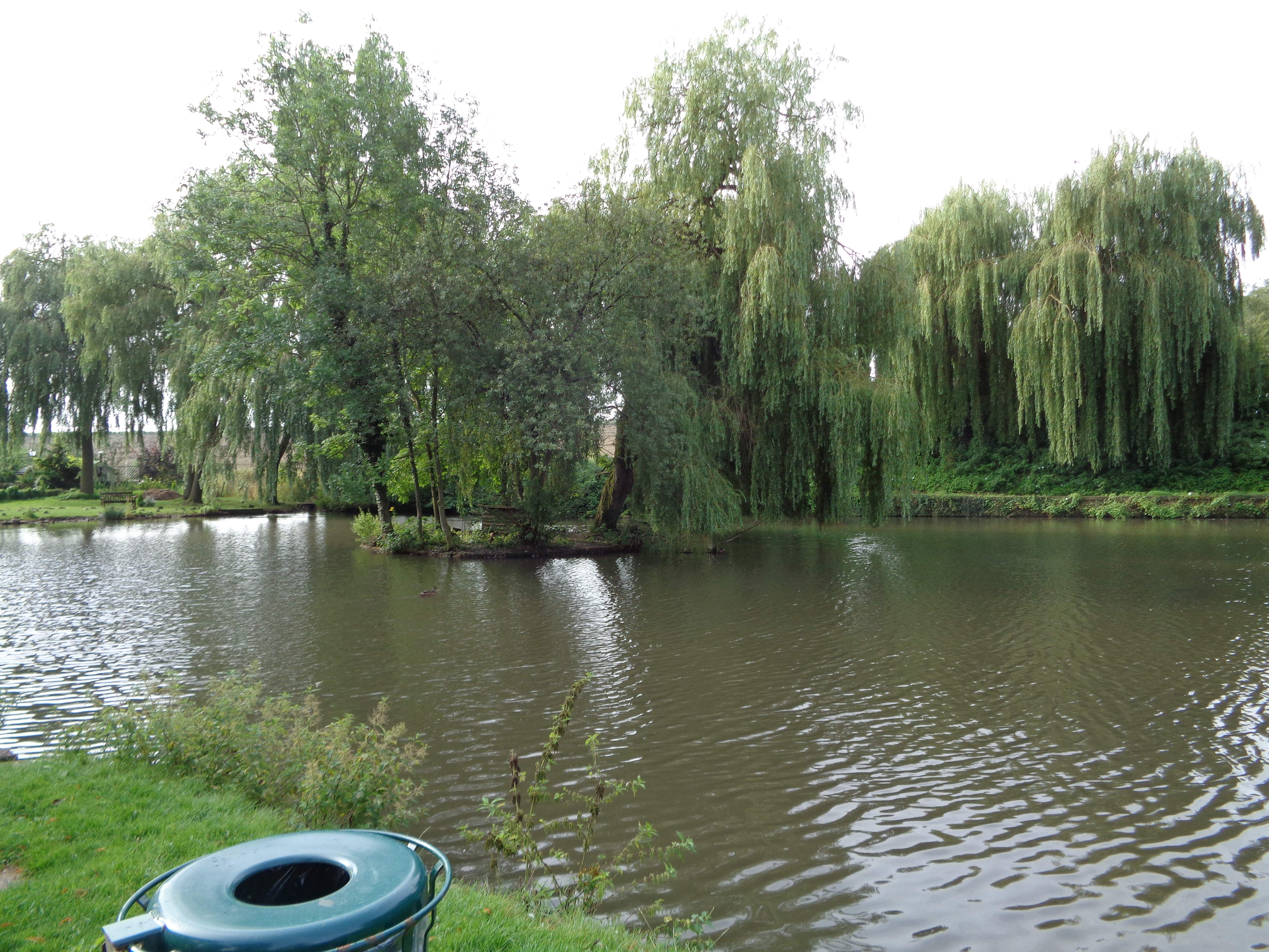 DSC01403.JPG