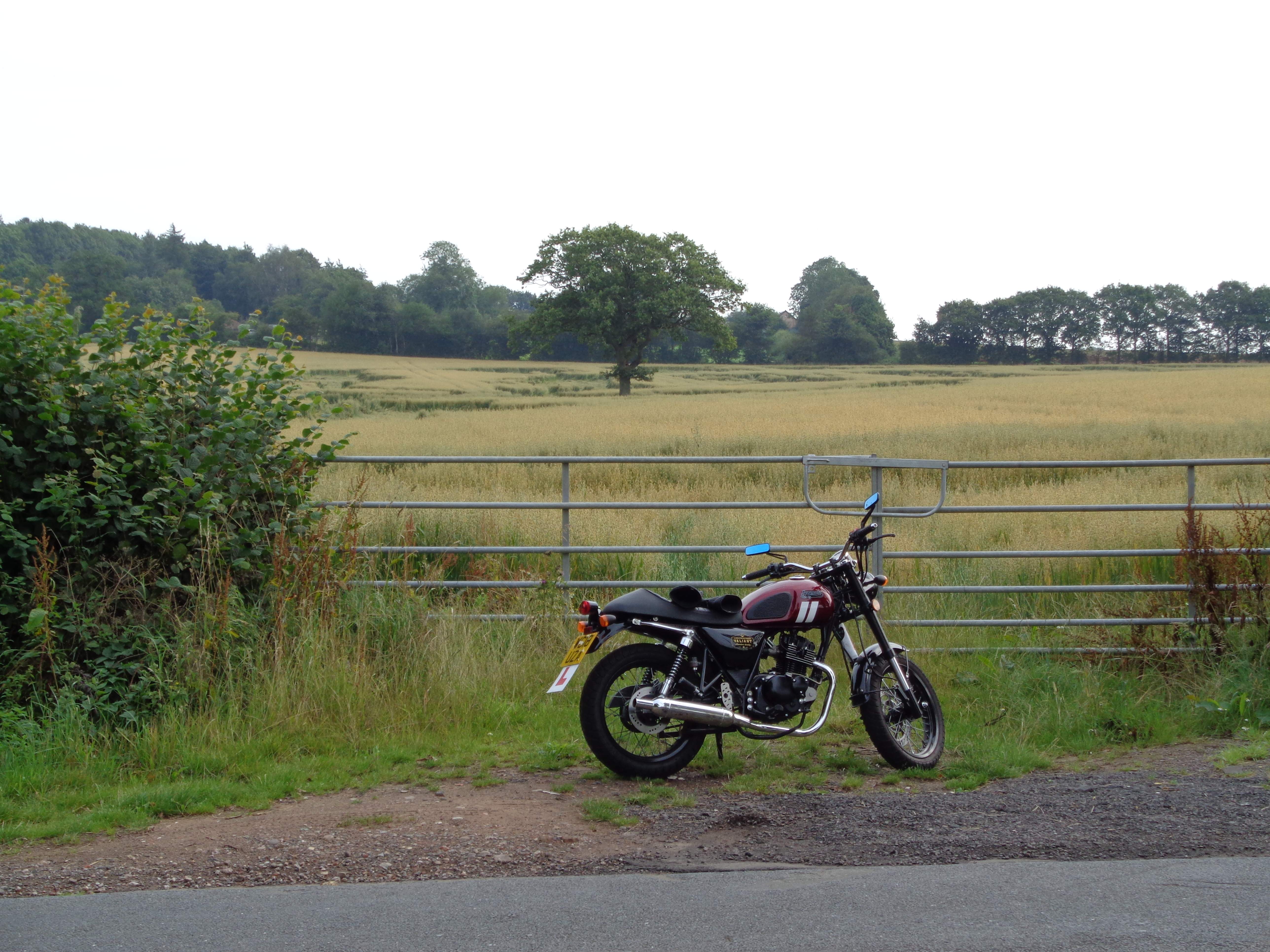 DSC01435.JPG