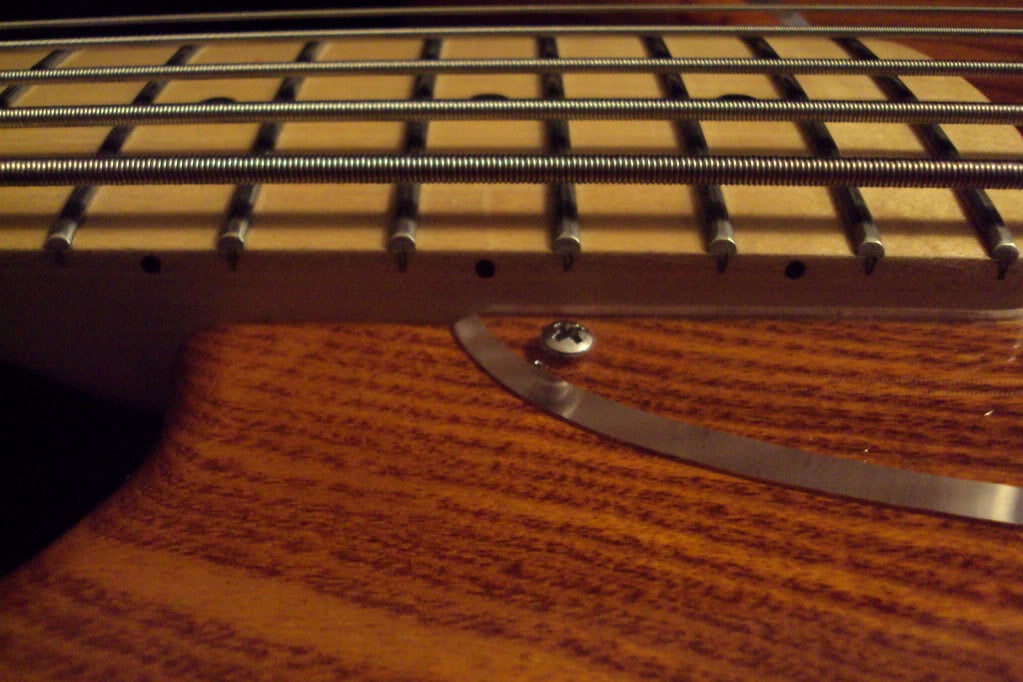 DSC01455.jpg