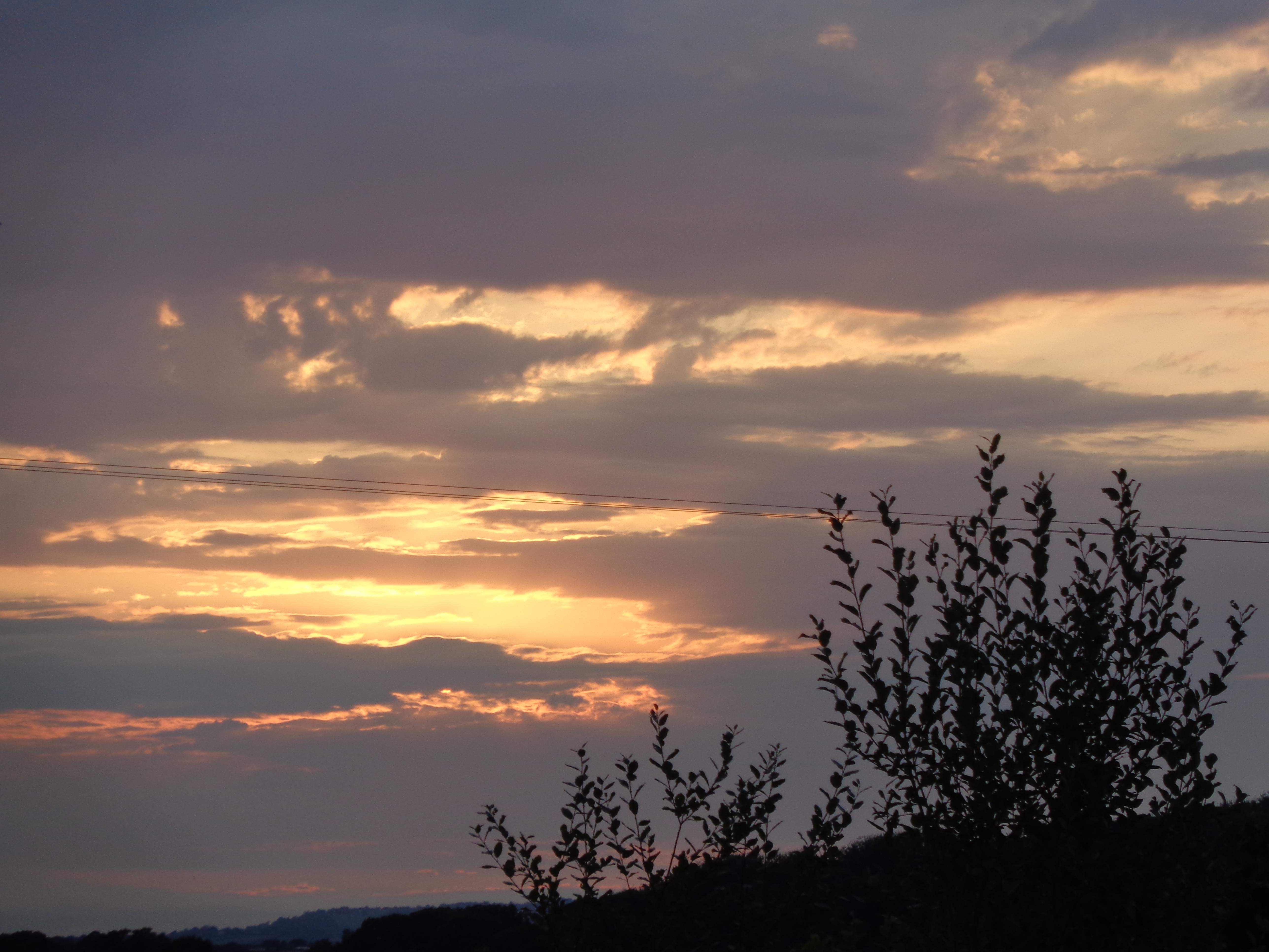 DSC01487.JPG