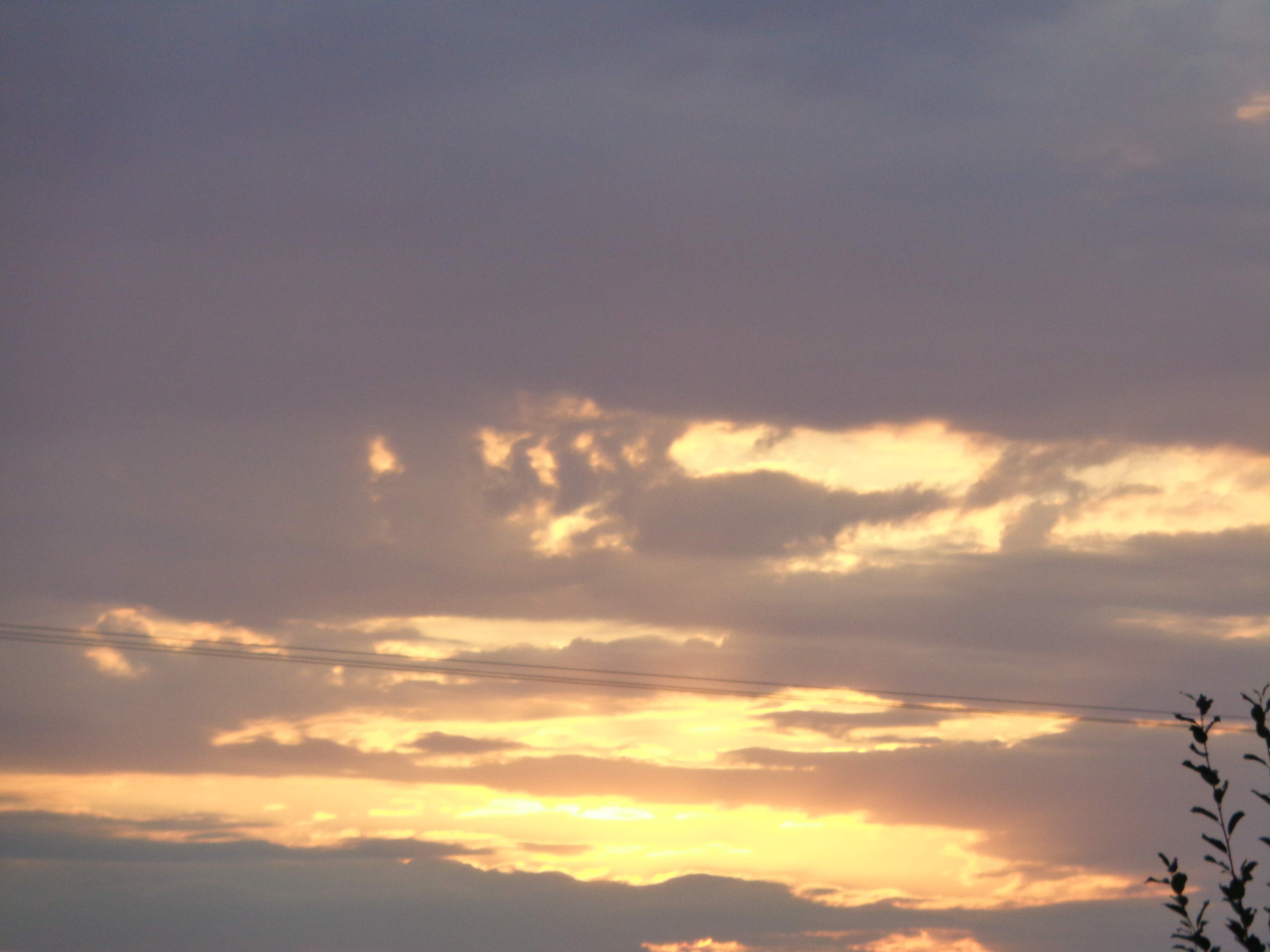 DSC01488.JPG