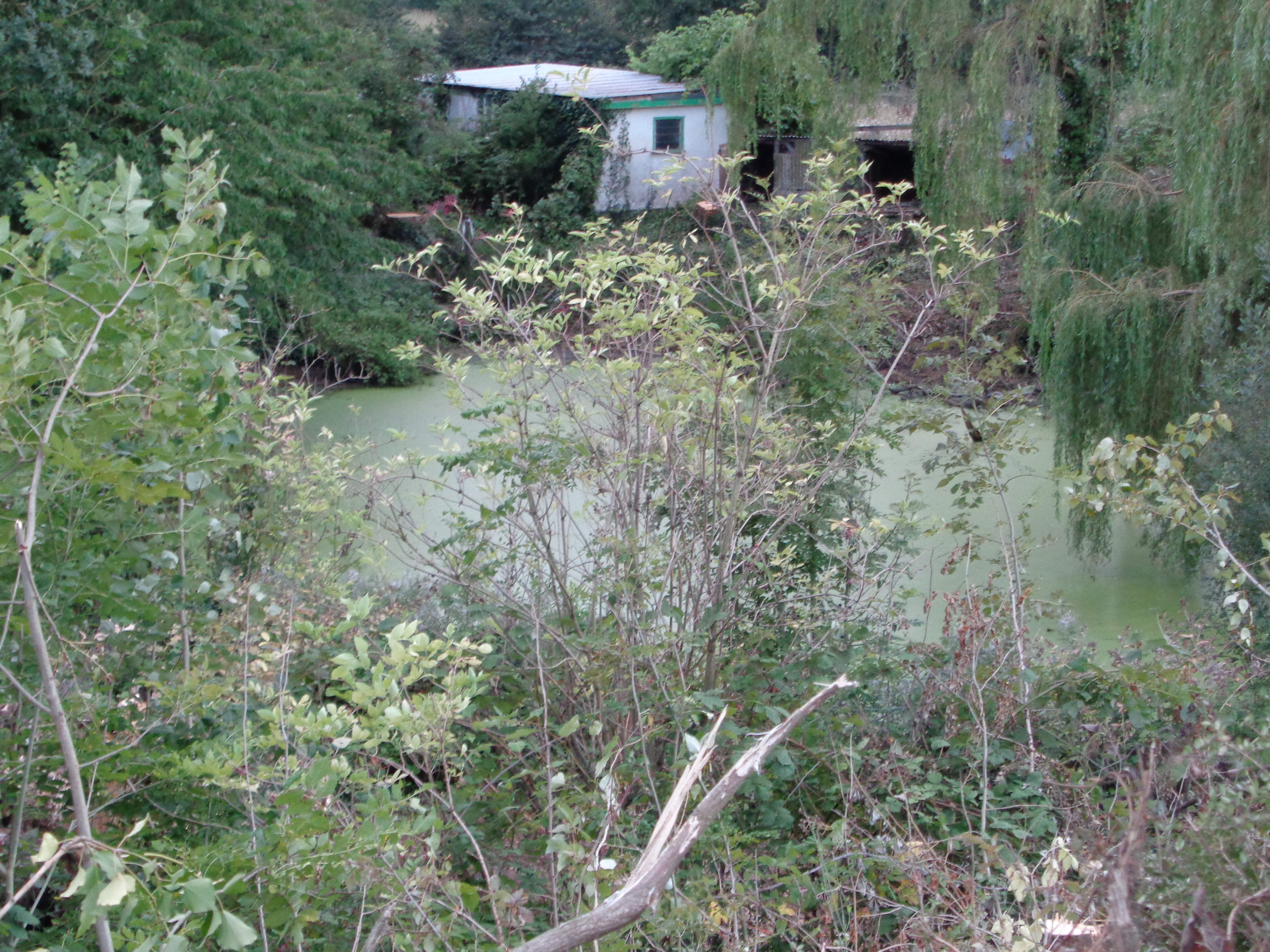 DSC01493.JPG
