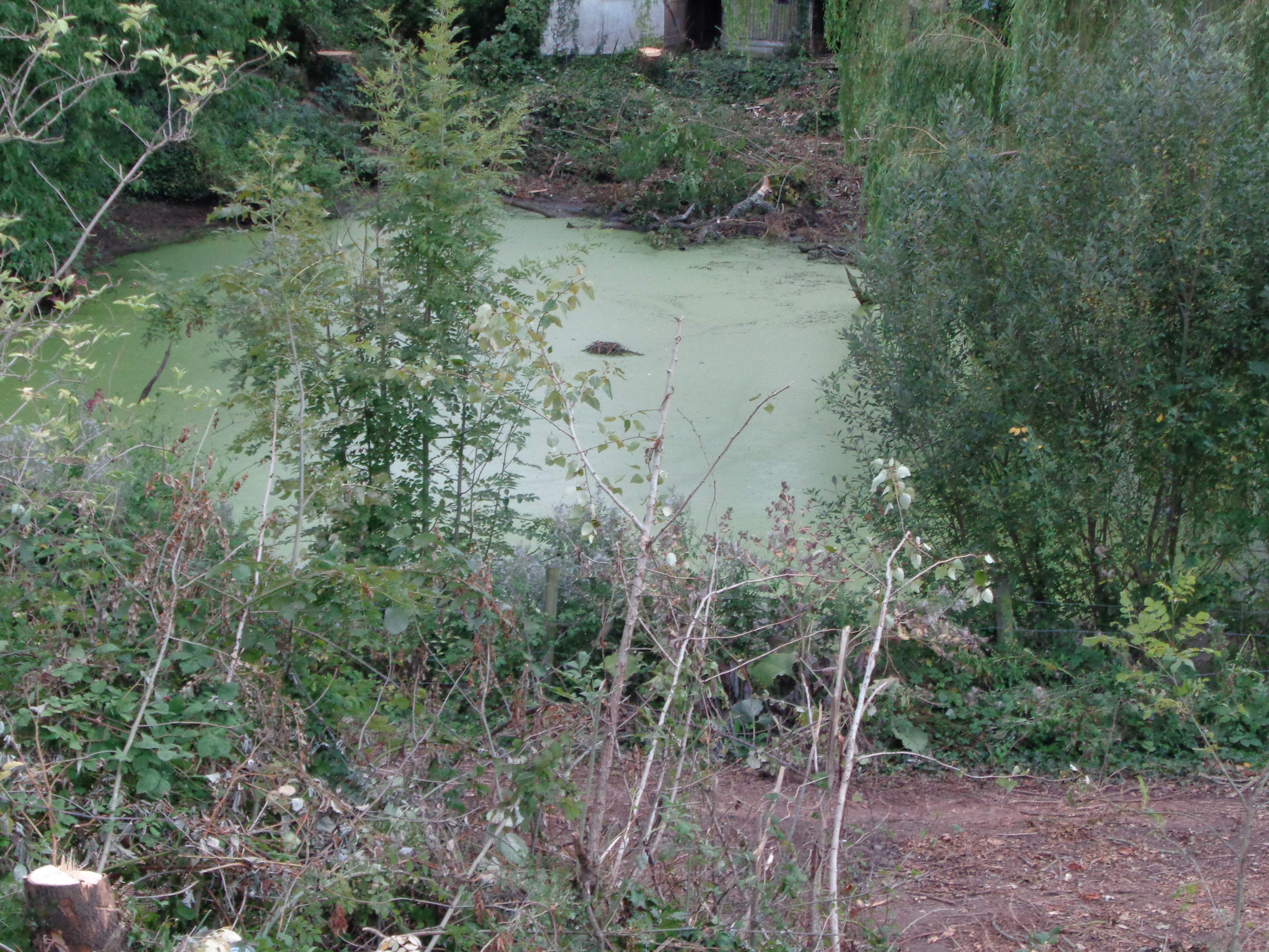 DSC01494.JPG