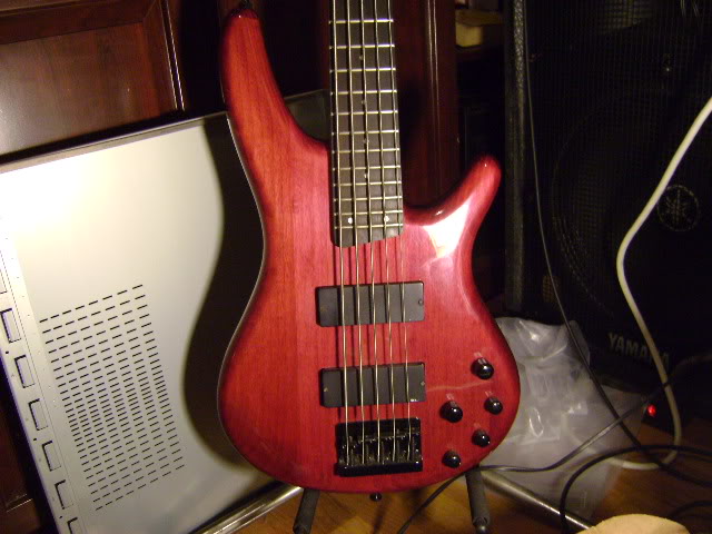 DSC01556.jpg