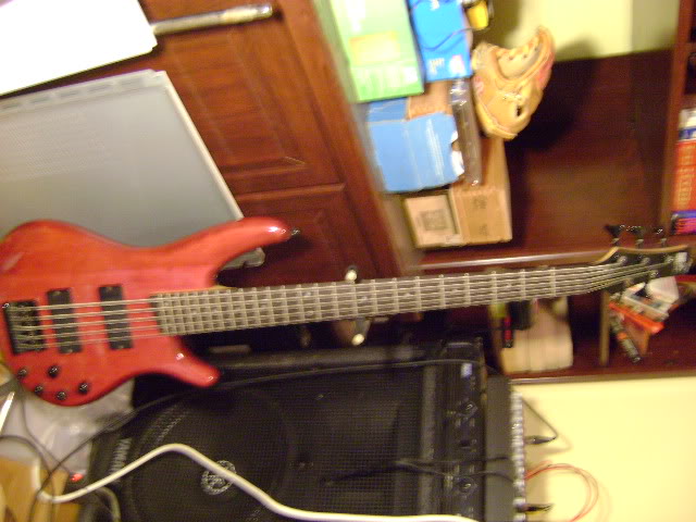 DSC01557.jpg